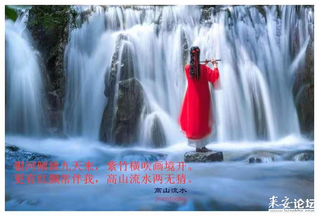奥日与精灵意志